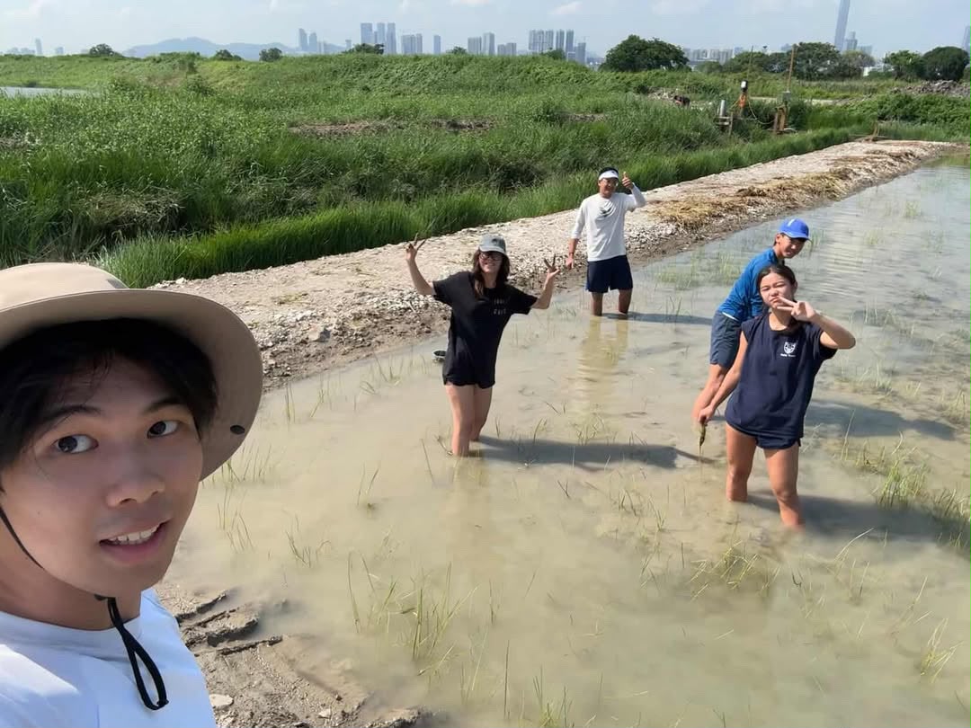 The field team standing in the water after finishing a planting session