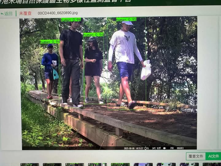 Camera trap photo with AI bounding boxes detecting people on a boardwalk